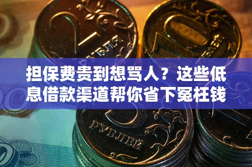 济南担保费贵到想骂人？这些低息借款渠道帮你省下冤枉钱