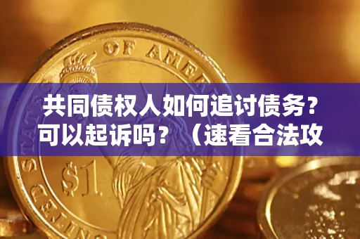 济南共同债权人如何追讨债务？可以起诉吗？（速看合法攻略）